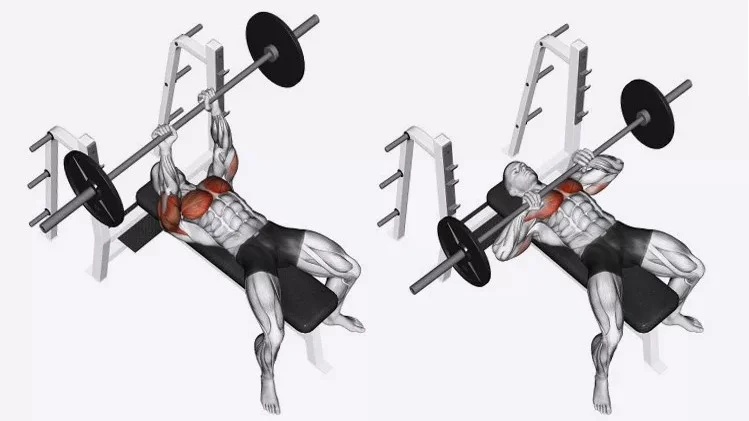 Жим штанги узким хватом